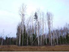 DSCF1216.JPG