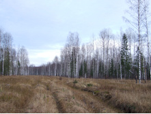 DSCF1219.JPG