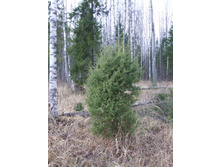DSCF1221.JPG