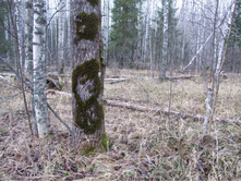 DSCF1222.JPG