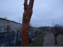 DSCF1231.JPG
