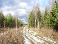 DSCF1085s.JPG