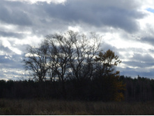 DSCF1089.JPG