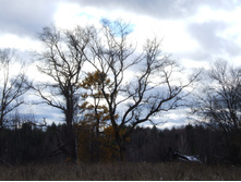 DSCF1091.JPG