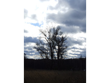 DSCF1092.JPG