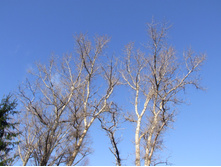 DSCF1112.JPG