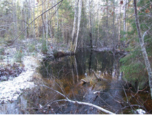 DSCF1121.JPG