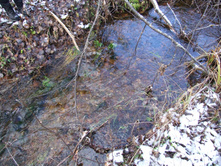 DSCF1126.JPG