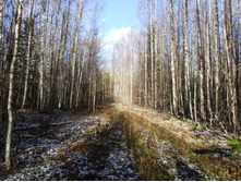 DSCF1130.JPG