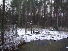 DSCF1134.JPG