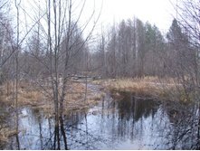DSCF1145.JPG