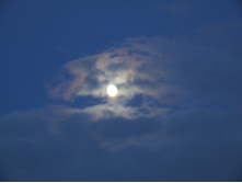 DSCF1151.JPG