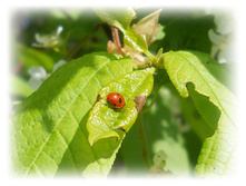 DSCN2732.JPG
