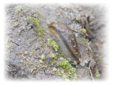 DSCN2745.JPG