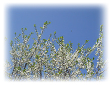 DSCN2752.JPG