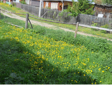 DSCN2888.JPG