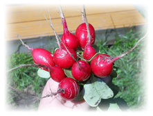 DSCN3306.JPG