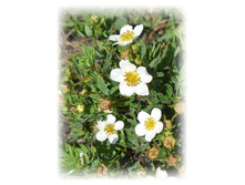 DSCN3480.JPG