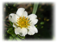 DSCN3481.JPG