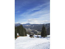 IMG_0494_1.jpg