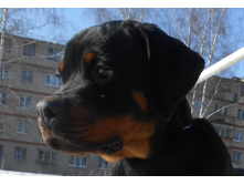 DSCN1238.JPG