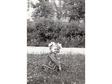 1979�..jpg