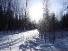 DSCF1567.JPG