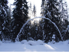 DSCF1571.JPG