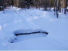 DSCF1585.JPG