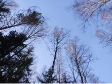 DSCF1586.JPG