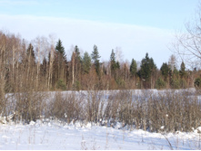 DSCF1603.JPG