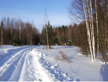 DSCF1606.JPG