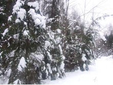 DSCF1610.JPG