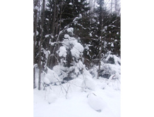 DSCF1611.JPG