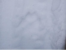 DSCF1614.JPG