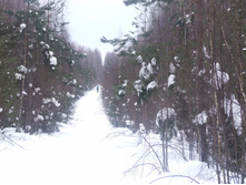 DSCF1617.JPG