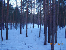 DSCN2165.JPG
