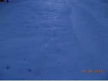 DSCN2177.JPG