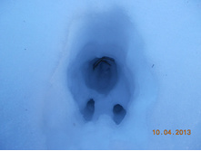 DSCN2178.JPG