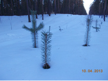 DSCN2179.JPG