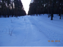 DSCN2180.JPG