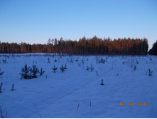 DSCN2181.JPG