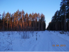 DSCN2184.JPG