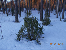 DSCN2185.JPG
