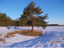 DSCN2193.JPG