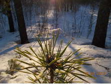 DSCN2197.JPG
