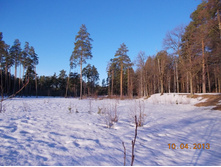 DSCN2203.JPG