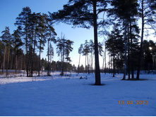 DSCN2204.JPG