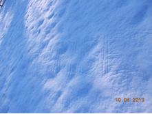 DSCN2215.JPG