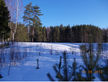 DSCN2216.JPG